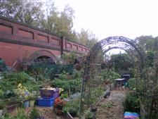 Allotments Holders